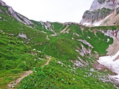 Alpine mera ve çayırlar Alpstein dağ yamaçlarında nehir düşündüklerini Vadisi'nde - St. Gallen Kanton ve Appenzell Innerrhoden, İsviçre