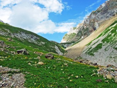 Alpine mera ve çayırlar Alpstein dağ yamaçlarında nehir düşündüklerini Vadisi'nde - St. Gallen Kanton ve Appenzell Innerrhoden, İsviçre