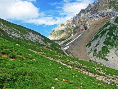 Alpine mera ve çayırlar Alpstein dağ yamaçlarında nehir düşündüklerini Vadisi'nde - St. Gallen Kanton ve Appenzell Innerrhoden, İsviçre