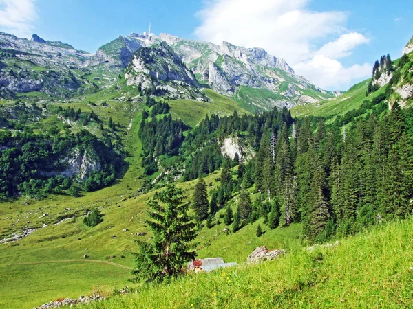 Krásný Alpský Vrchol Santis Alpstein Pohoří Kanton Appenzell Innerrhoden Švýcarsko — Stock fotografie