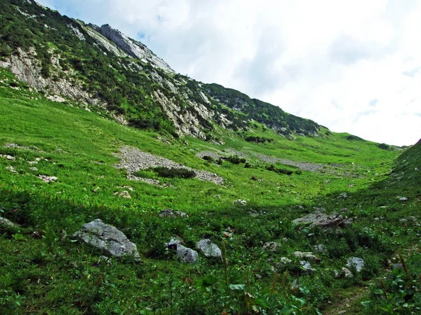 Alpesi Legelők Rétek Alpstein Hegység Lejtőin Völgyben Folyó Thur Gallen — Stock Fotó