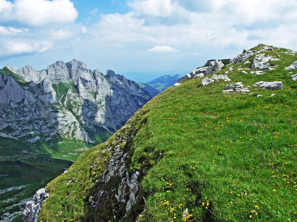 Alpesi Legelők Rétek Alpstein Hegység Lejtőin Völgyben Folyó Thur Gallen — Stock Fotó