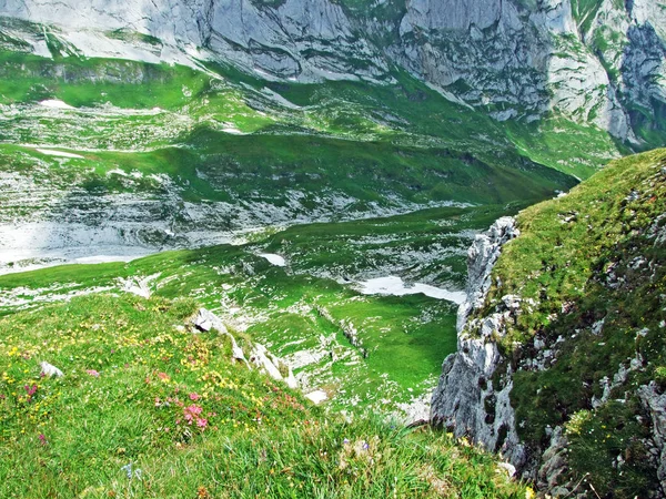 Pastos Alpinos Prados Las Laderas Cordillera Alpstein Valle Del Río — Foto de Stock