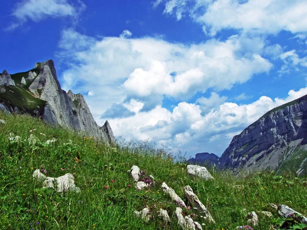 Pastos Alpinos Prados Las Laderas Cordillera Alpstein Valle Del Río —  Fotos de Stock