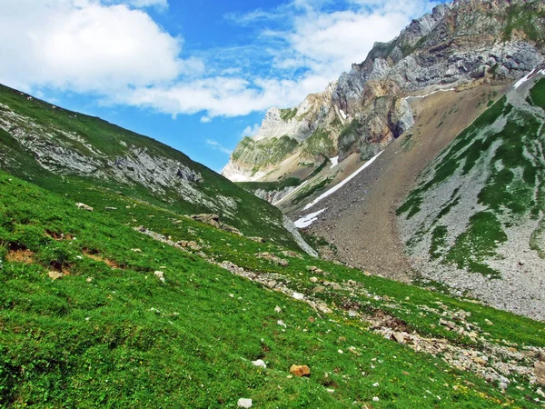 Pastos Alpinos Prados Las Laderas Cordillera Alpstein Valle Del Río — Foto de Stock