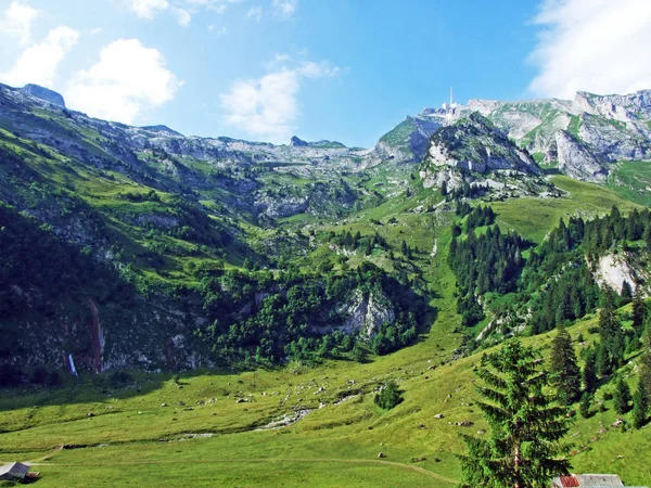 Pascoli Alpini Prati Sulle Pendici Della Catena Montuosa Alpstein Nella — Foto Stock