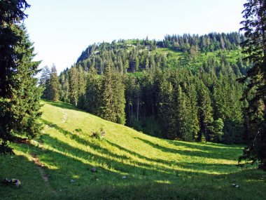 Ağaçlar ve herdem yeşil ormanlar pistlerinin Alpstein dağ ve nehir düşündüklerini Vadisi'nde - St. Gallen Kanton ve Appenzell Innerrhoden, İsviçre