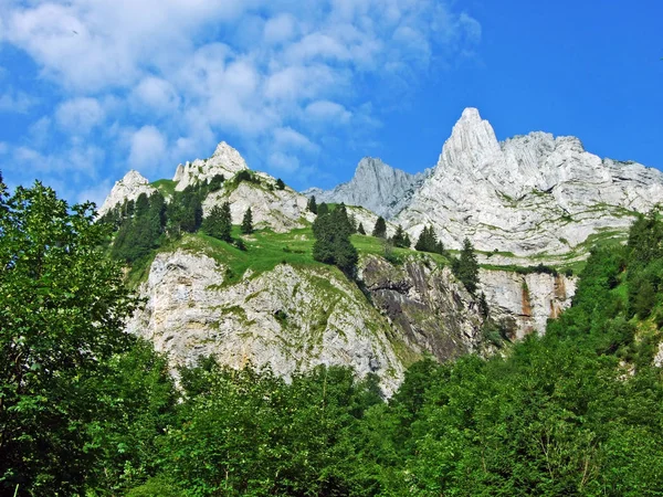 Stromy Smíšené Lesy Svazích Alpstein Pohoří Řeky Thur Údolí Kantonu — Stock fotografie