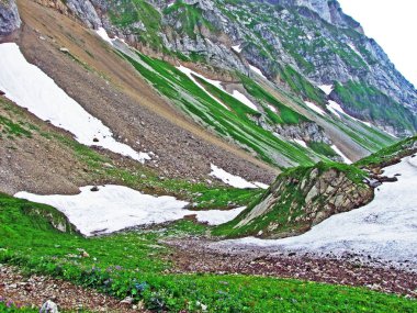 Taşlar ve kayalar Alpstein dağ silsilesi - St. Gallen Kanton ve Appenzell Innerrhoden, İsviçre