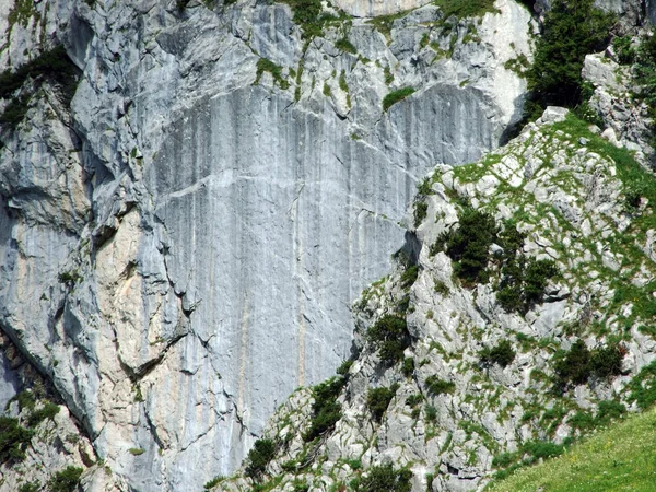 Piedras Rocas Cordillera Alpstein Cantones Gallen Appenzell Innerrhoden Suiza — Foto de Stock