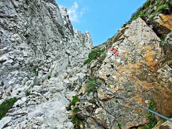 Stenar Och Klippor Alpstein Bergskedja Kantoner Gallen Och Appenzell Innerrhoden — Stockfoto