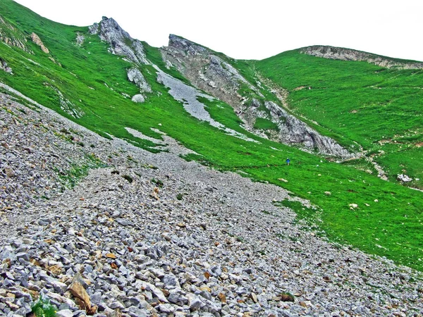 Stenen Rotsen Van Bergketen Alpstein Kantons Van Gallen Appenzell Innerrhoden — Stockfoto