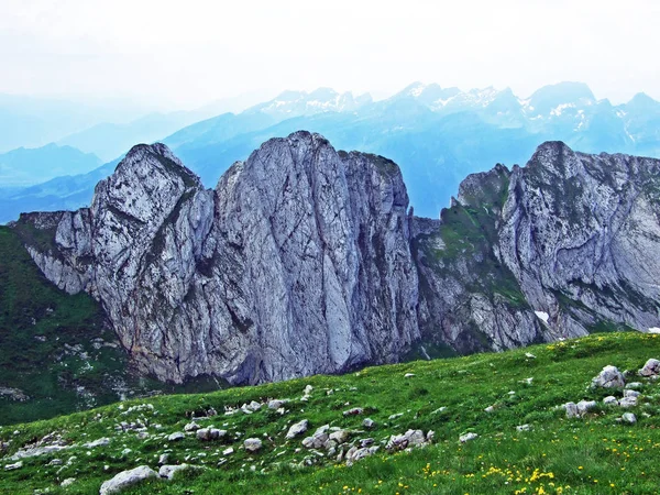 Колючі Альпійських Вершин Grtterinfirst Швейцарії Гірський Хребет Кантону Санкт Галлен — стокове фото