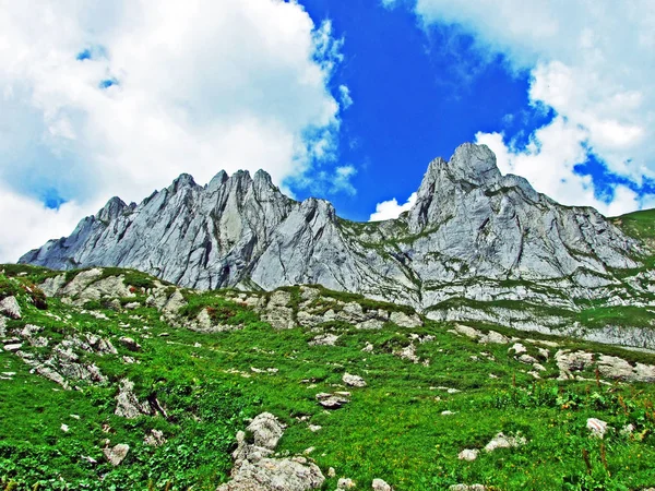 Колючі Альпійських Вершин Fhlentrm Alpstein Гірського Хребта Кантону Аппенцелль Innerrhoden — стокове фото