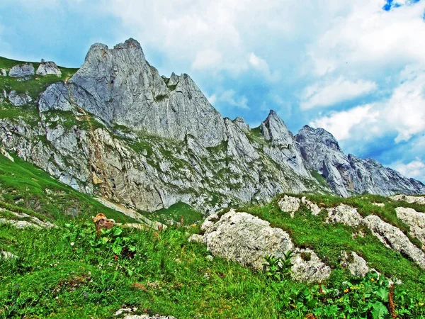 Tüskés Alpok Csúcsaira Fhlentrm Alpstein Hegység Canton Appenzell Innerrhoden Svájc — Stock Fotó