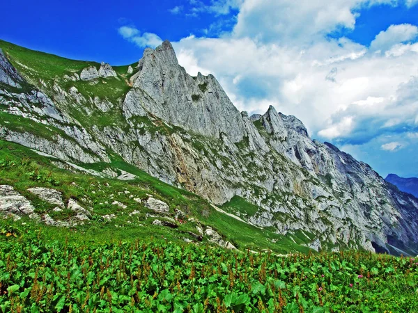 Stekelige Alpine Pieken Van Fhlentrm Alpstein Bergketen Kanton Appenzell Innerrhoden — Stockfoto