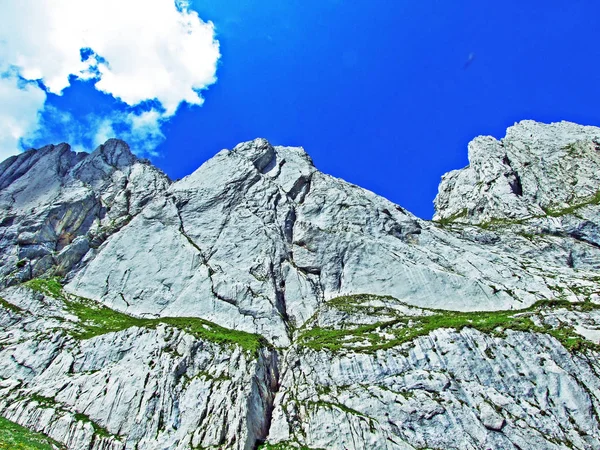 Колючі Альпійських Вершин Fhlentrm Alpstein Гірського Хребта Кантону Аппенцелль Innerrhoden — стокове фото