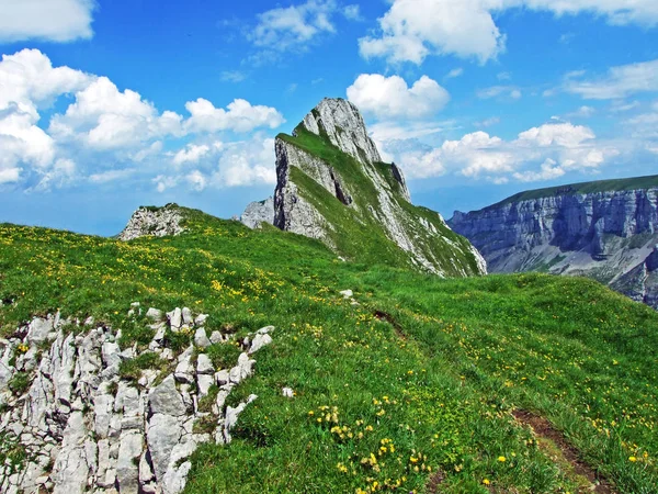 Spiky Alpine Peaks Fhlentrm Alpstein Mountain Range Canton Appenzell Innerrhoden — Stock Photo, Image