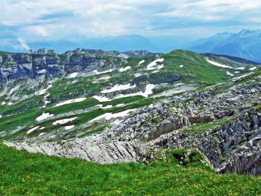 Alp Peyzaj ve kayalık doruklarına Alpstein dağ silsilesi - St. Gallen Kanton ve Appenzell Innerrhoden, İsviçre