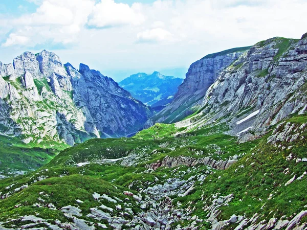 Шипичная Альпийская Вершина Фаленшафберга Альпштайнском Хребте Кантон Аппенцелль Иннерроден Швейцария — стоковое фото