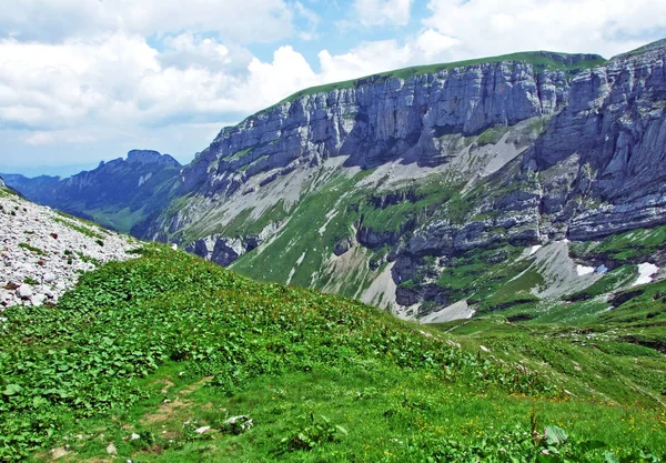 Sziklás Hegygerinc Roslenfirst Saxer Első Alpstein Hegység Canton Appenzell Innerrhoden — Stock Fotó