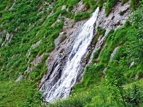 阿尔普斯坦山脉脚下的喀斯特泉水和瀑布 瑞士圣加仑州 — 图库照片