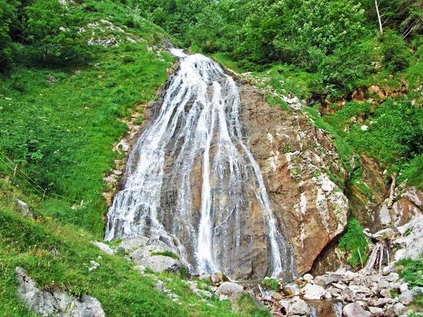 阿尔普斯坦山脉脚下的喀斯特泉水和瀑布 瑞士圣加仑州 — 图库照片