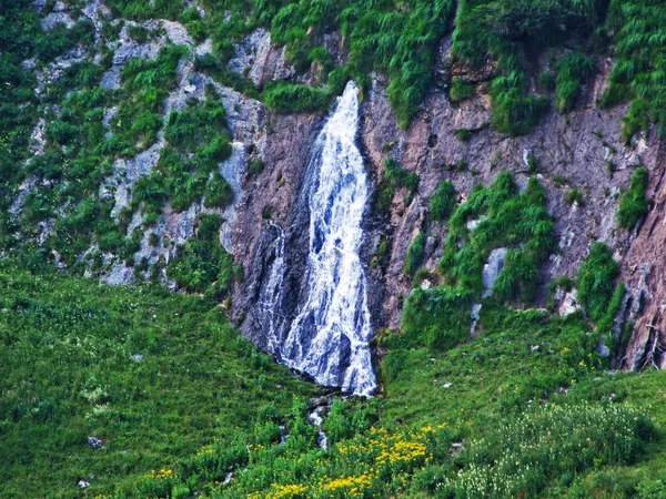 Sorgenti Carsiche Cascate Piedi Della Catena Montuosa Alpstein Canton San — Foto Stock