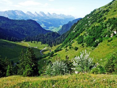 Dağ nehir vadileri Thurtal ve Seeztal - Canton St. Gallen, İsviçre arasında büyük Churfirsten