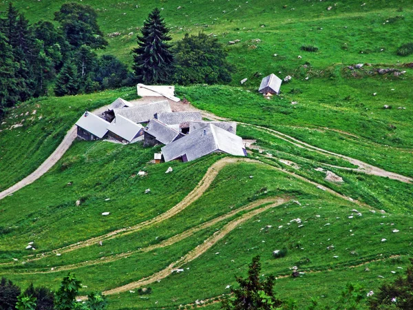 Granjas Rurales Tradicionales Arquitectura Ganadería Las Laderas Cordillera Alpstein Valle — Foto de Stock