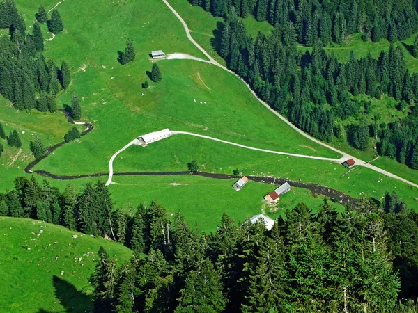 川木谷 ザンクト ガレンのカントン スイス連邦共和国 Alpstein 山脈の斜面に農村部の伝統的な建築と畜産農場 — ストック写真