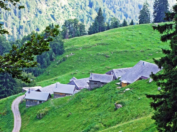 Arquitetura Tradicional Rural Fazendas Pecuárias Nas Encostas Cordilheira Alpstein Vale — Fotografia de Stock