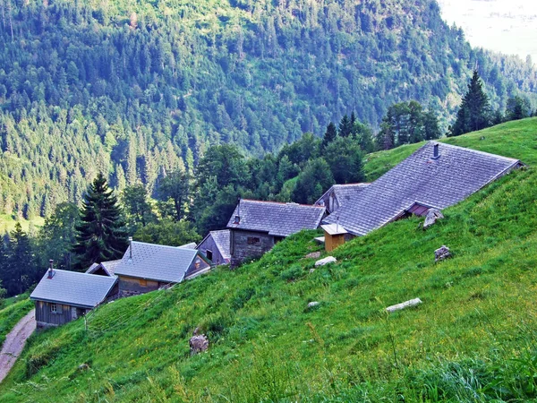 Rural Traditional Architecture Livestock Farms Slopes Alpstein Mountain Range River — Stock Photo, Image