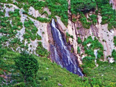 Karstik kaynak ve şelale Santisthur akışı veya Santisthur Quelle und Wasserfall - Canton St. Gallen, İsviçre