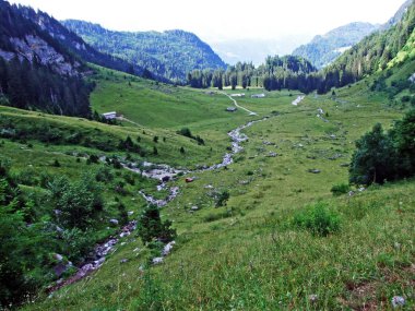 Stream Saentisthur ve Kurtlar Vadisi boyunca yaylar - Canton St. Gallen, İsviçre