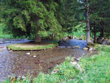 Stream Saentisthur ve Kurtlar Vadisi boyunca yaylar - Canton St. Gallen, İsviçre