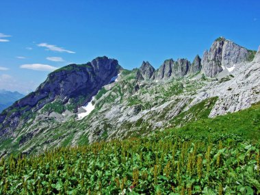 Alp Peyzaj ve kayalık doruklarına Alpstein dağ silsilesi - St. Gallen Kanton ve Appenzell Innerrhoden, İsviçre