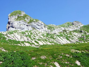 Alp Peyzaj ve kayalık doruklarına Alpstein dağ silsilesi - St. Gallen Kanton ve Appenzell Innerrhoden, İsviçre