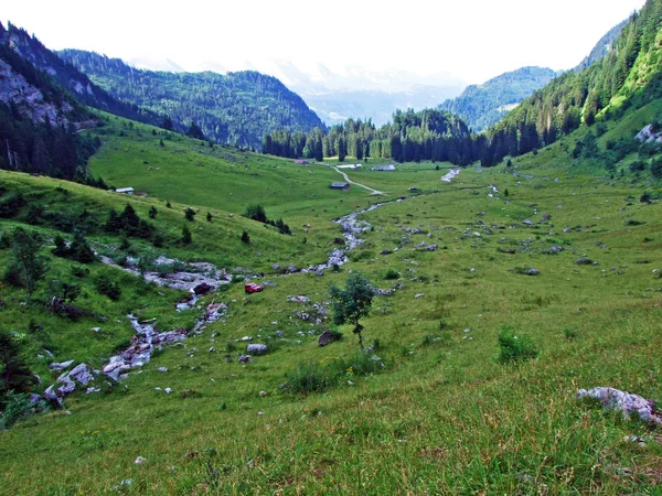 Streamen Van Saentisthur Vallei Langs Springs Kanton Gallen Zwitserland — Stockfoto