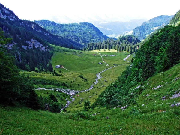 Bach Saentisthur Und Das Tal Entlang Der Quellen Kanton Gallen — Stockfoto