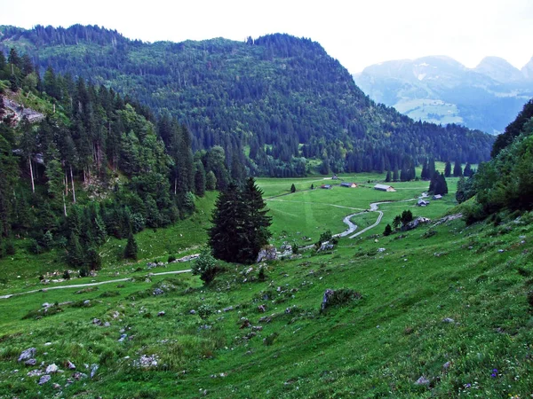 ストリームの Saentisthur や谷に沿って ザンクト ガレンのカントン スイス — ストック写真
