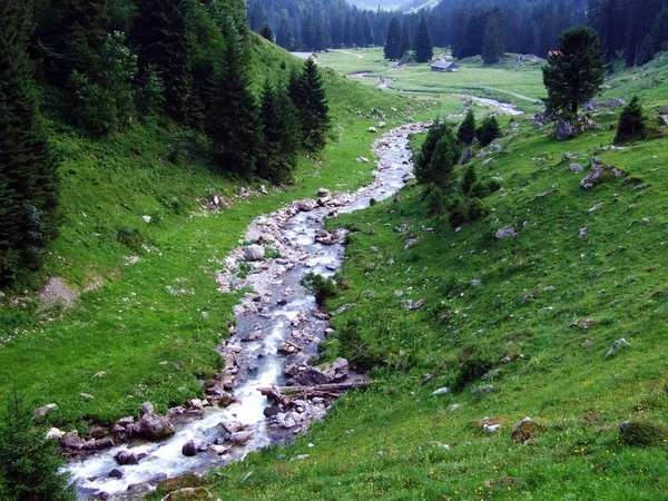 Streamen Van Saentisthur Vallei Langs Springs Kanton Gallen Zwitserland — Stockfoto