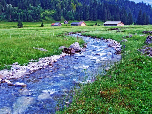 Streamen Van Saentisthur Vallei Langs Springs Kanton Gallen Zwitserland — Stockfoto