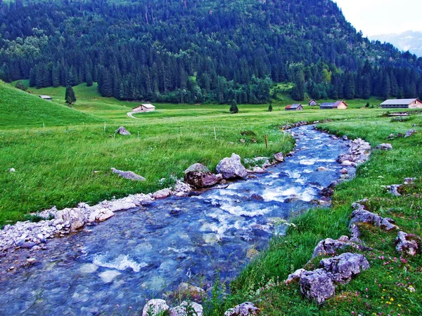 Stream Saentisthur Valle Lungo Sorgenti Cantone San Gallo Svizzera — Foto Stock