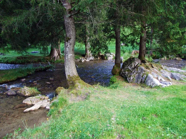 Saentisthur Völgy Mentén Springs Gallen Kanton Svájc — Stock Fotó