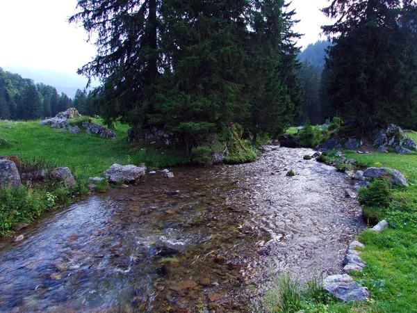 Bach Saentisthur Und Das Tal Entlang Der Quellen Kanton Gallen — Stockfoto