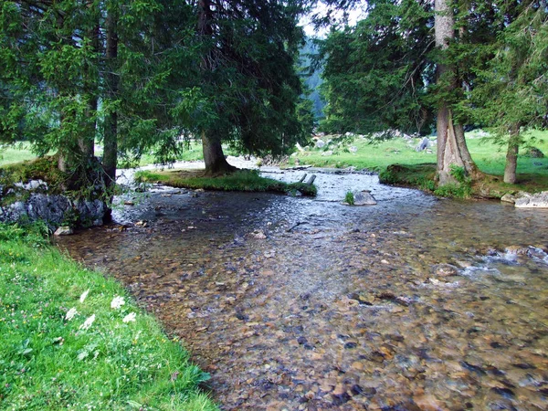 Река Саентистхур Долина Вдоль Родников Кантон Санкт Галлен Швейцария — стоковое фото