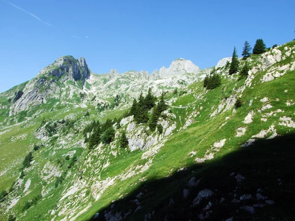 Alpejskie Krajobrazy Skaliste Szczyty Pasma Górskiego Alpstein Kantony Gallen Appenzell — Zdjęcie stockowe