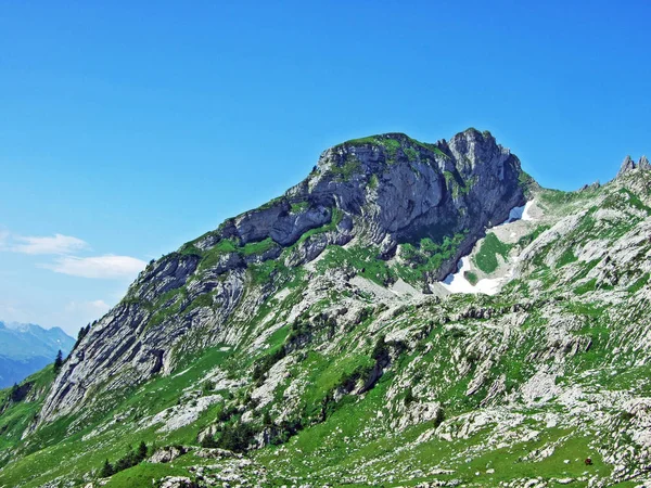 Альпійський Пейзаж Скелясті Вершини Alpstein Гірського Хребта Кантони Санкт Галлен — стокове фото