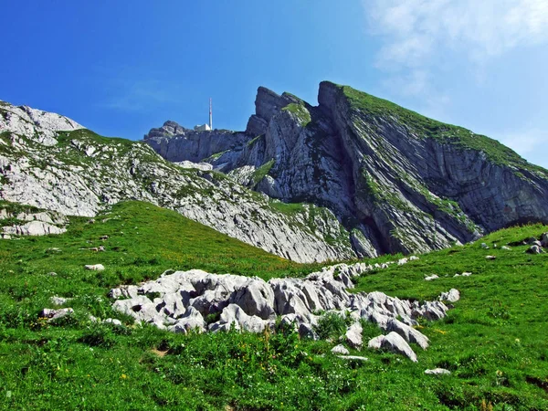 Альпійський Пейзаж Скелясті Вершини Alpstein Гірського Хребта Кантони Санкт Галлен — стокове фото